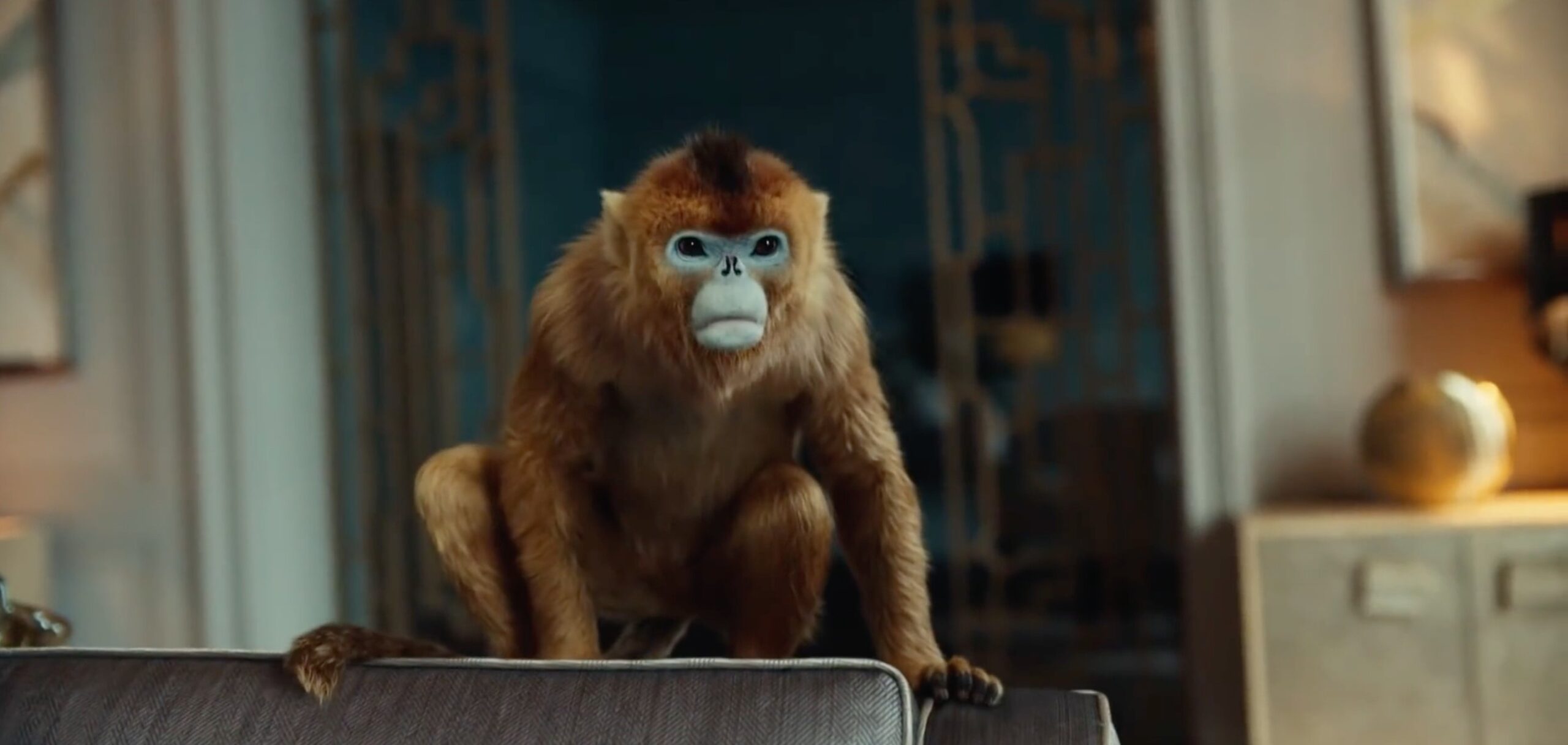 PASSION PICTURES His Dark Materials 'Daemon Battle'